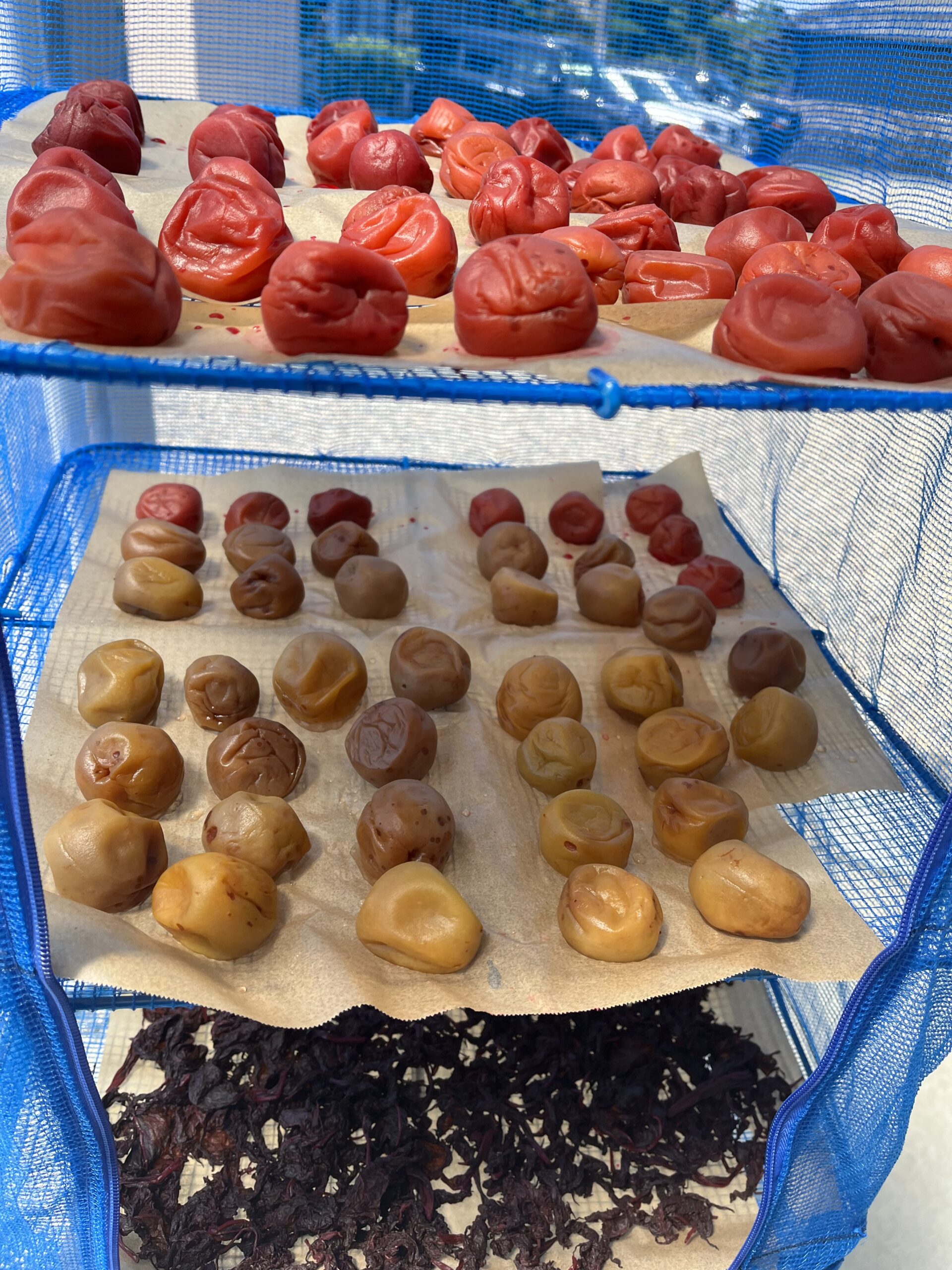 美味しい梅干し